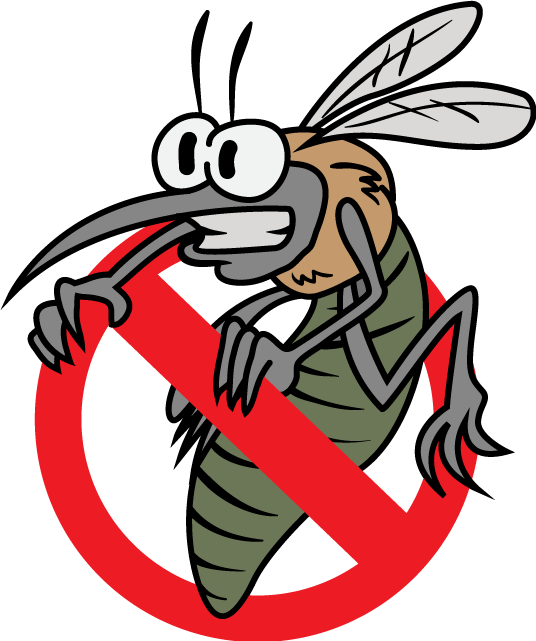 No mosquitos!